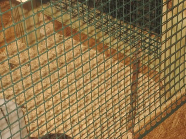 Picture048.jpg
