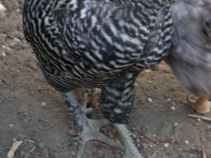 PA140035.jpg
