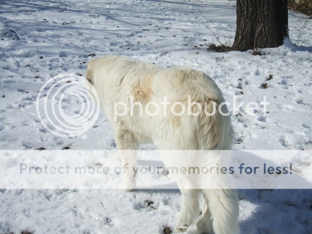 dscf0359.jpg