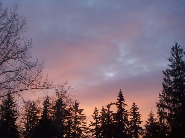 100_2203.jpg