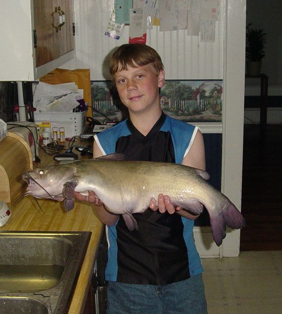 adamcatfish.jpg