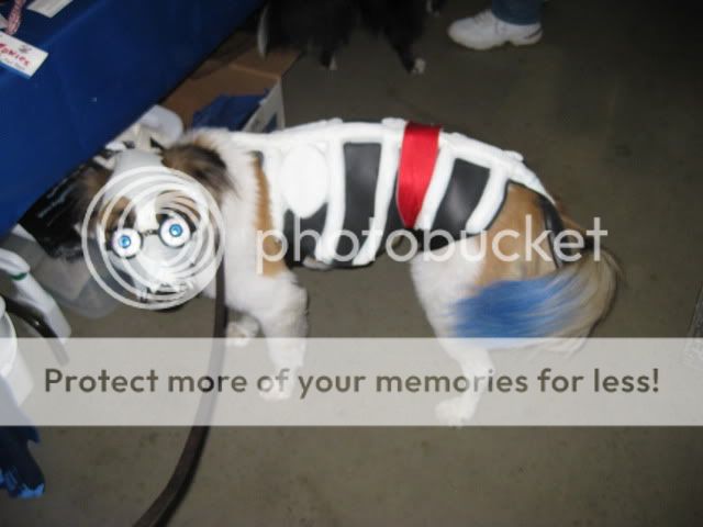 fair025.jpg