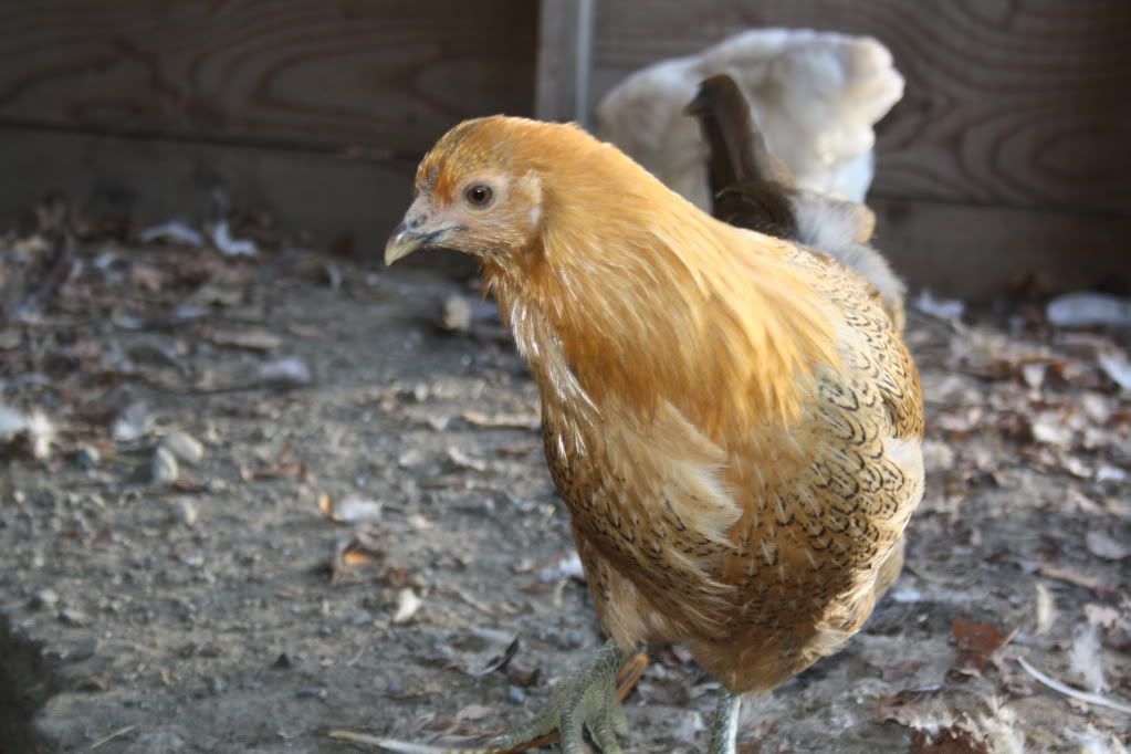 october2011018.jpg