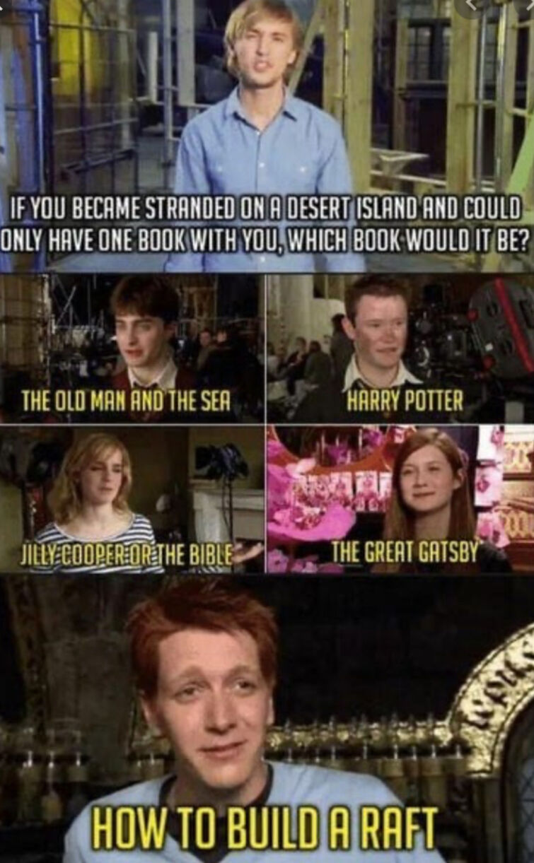 Harry Potter Memes | Fandom