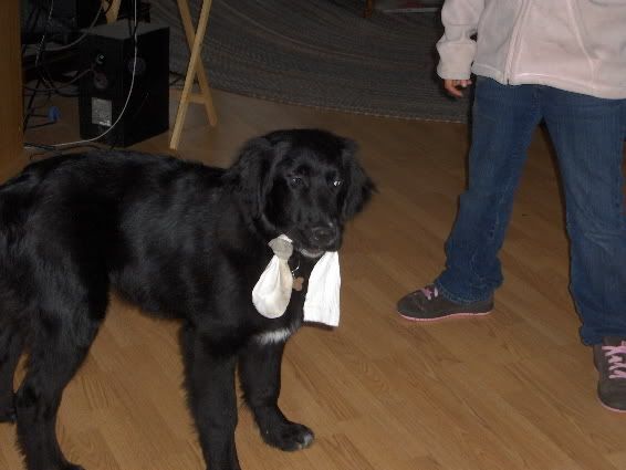 withsock.jpg