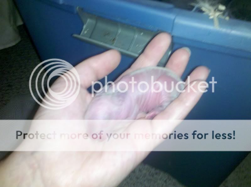 2011-07-07_08-11-12_561.jpg