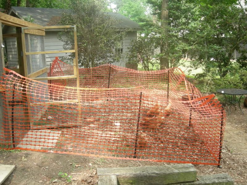 DSCN3104.jpg
