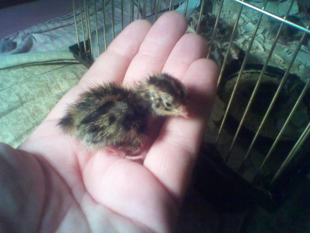 2011-06-03232016.jpg