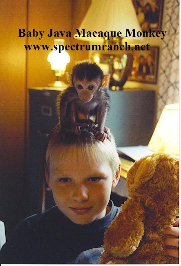 Monksr.jpg