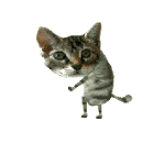 dancingkitty.gif