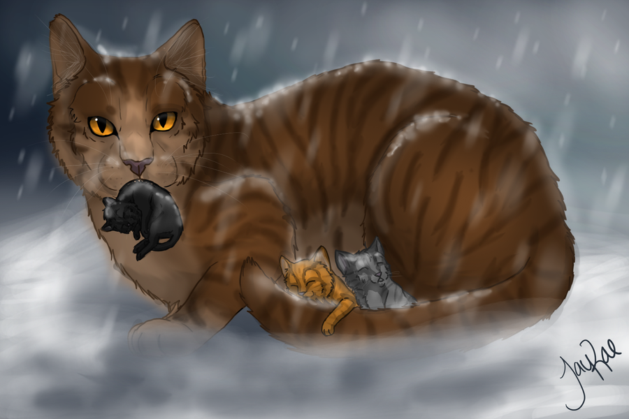 leafpool__s_quest_by_xxmoonwish-d4fdbay.png
