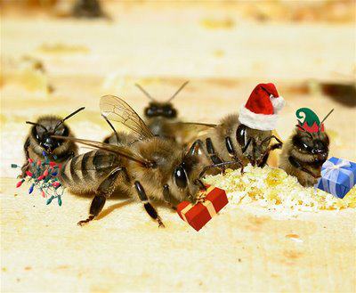 xmas+bees.jpg