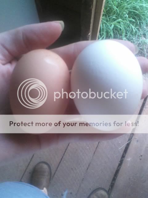 062900_202800.jpg