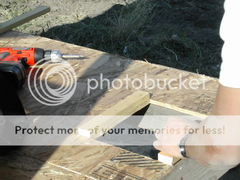 DSCN4742.jpg