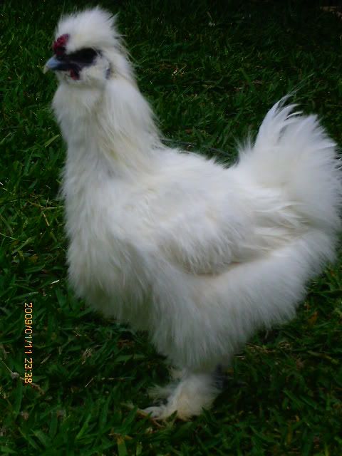 PTDC0016.jpg