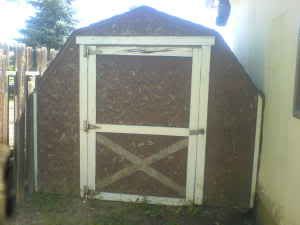 shed1.jpg