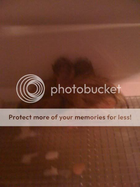 duckies1.jpg