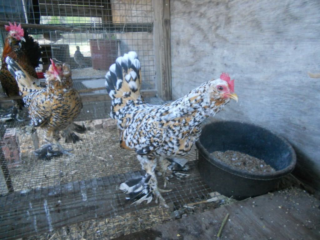 DSCN2689.jpg