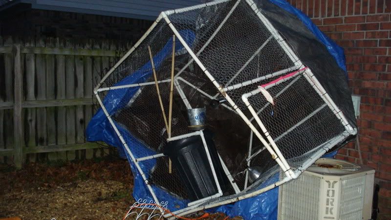 Picture3036.jpg