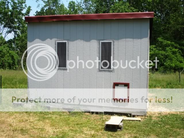 morephotos021.jpg