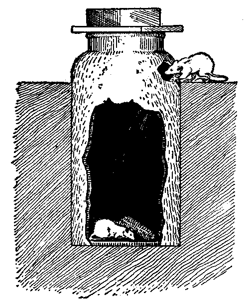 oldfashionedrattrap.gif