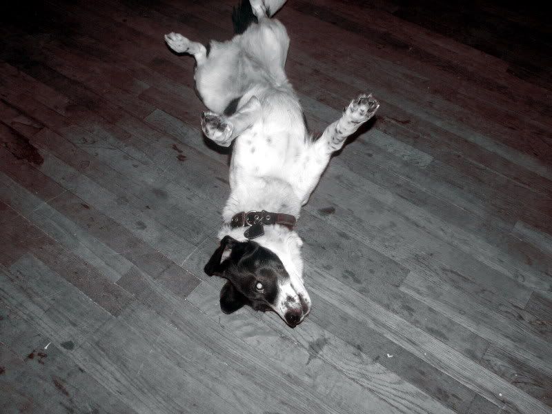 bella045-1.jpg