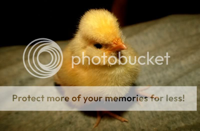 photo-7.jpg
