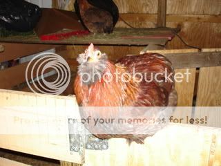 DSC00577.jpg