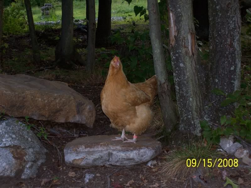 100_5704.jpg