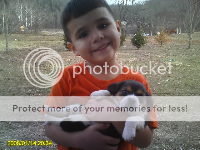 Picture007.jpg