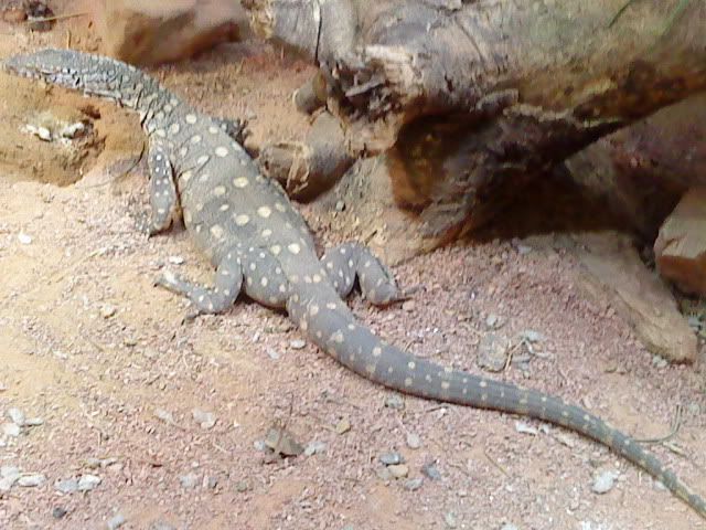 DSC08400.jpg