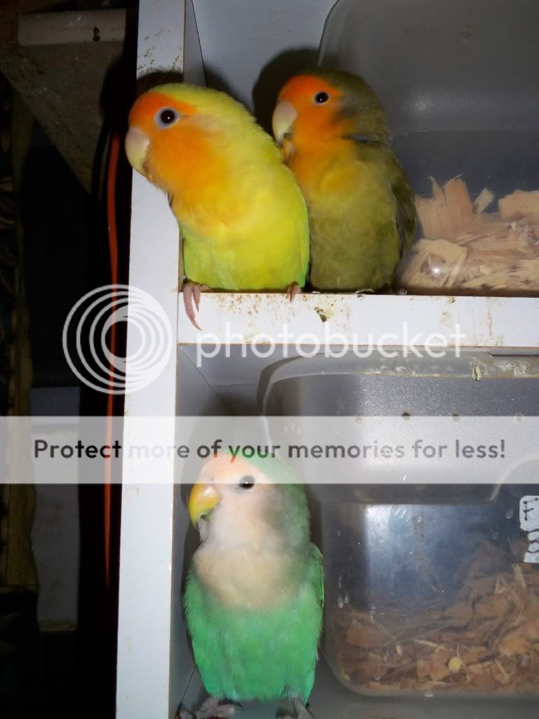 100_3132.jpg