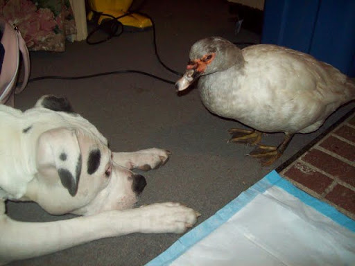 100_5126.JPG