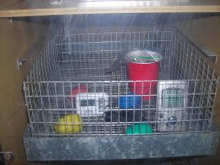 DSCN1439.jpg