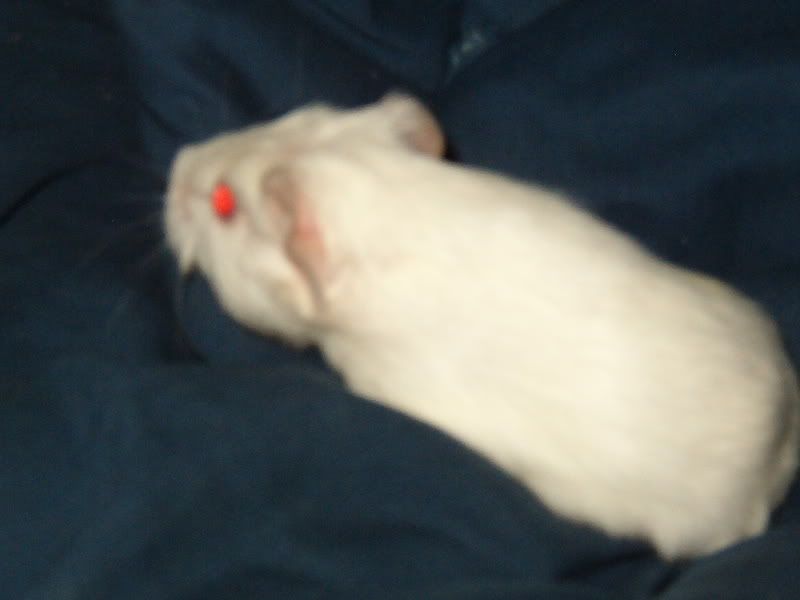 IM001874.jpg