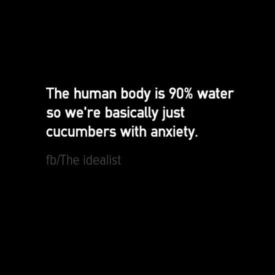 52550b0532e5028ec3eb9035a1696333.jpg
