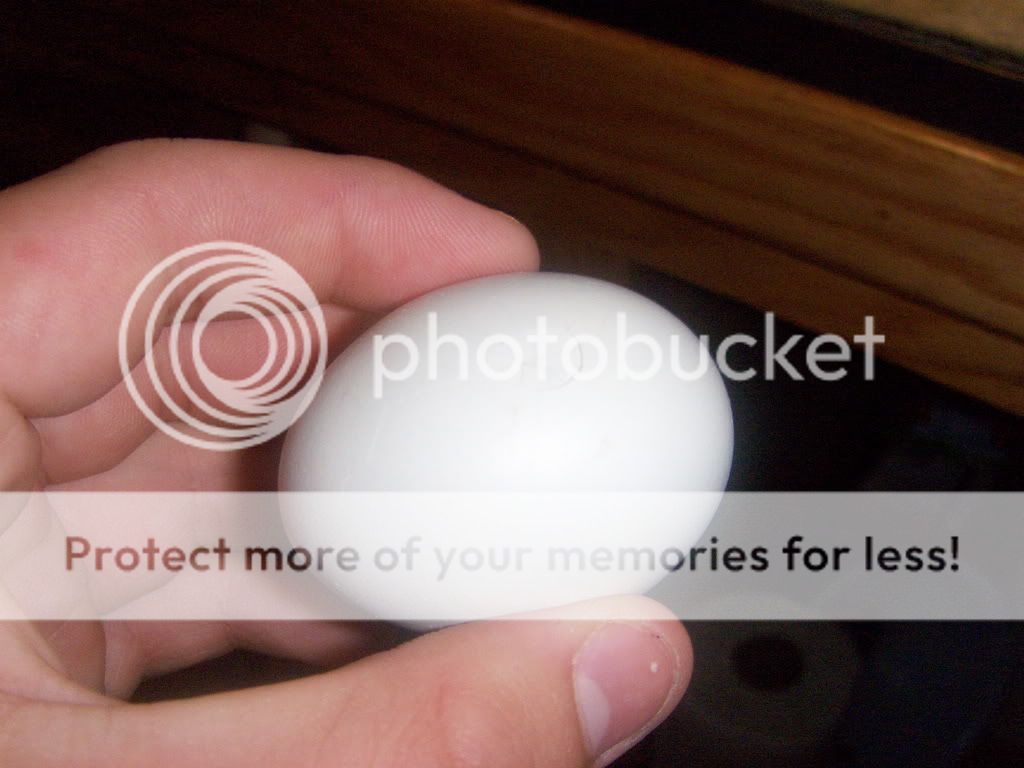 Ruinedeggs005.jpg