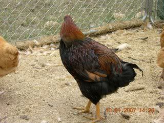 DSCN3900.jpg