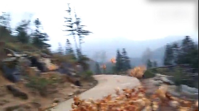 435A712E00000578-4802348-image-a-67_1503054989985.jpg