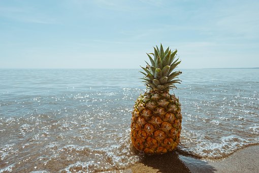 beach-1834329__340.jpg