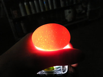 DSCN2167.JPG