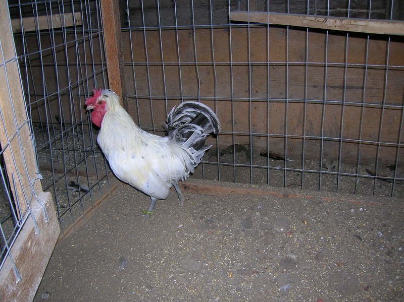 DSCN2290.jpg