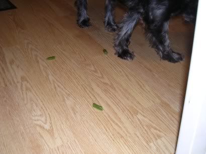 Veggie5.jpg