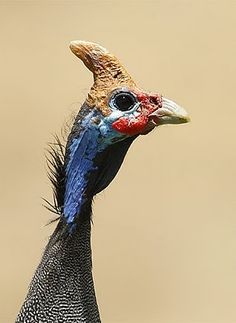 562f2f81a6465fd17f9d35f839800259.jpg