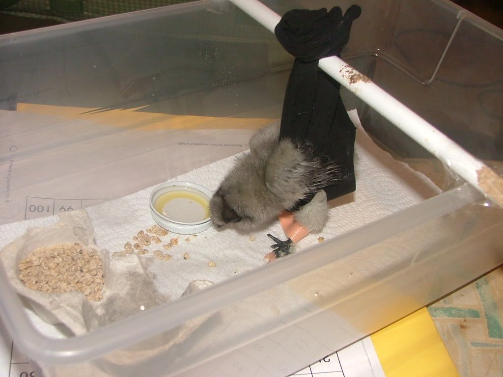 DSCF3291.jpg