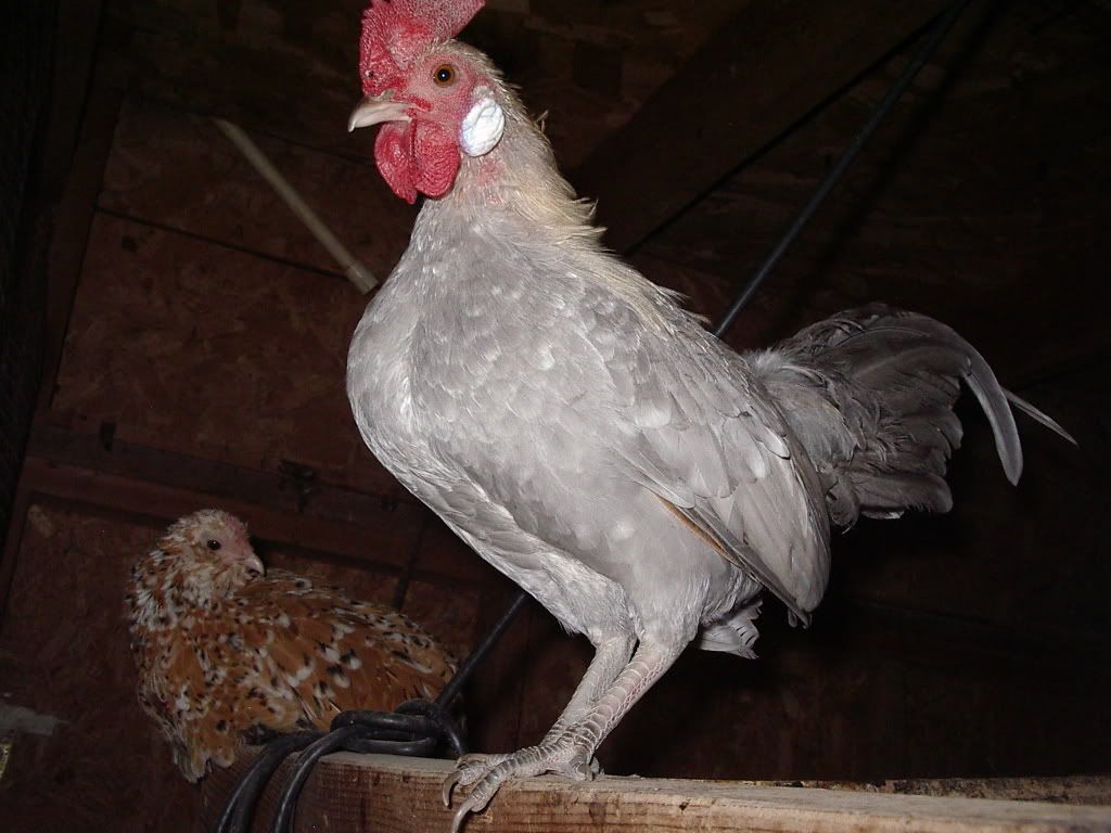 10-19-08049.jpg