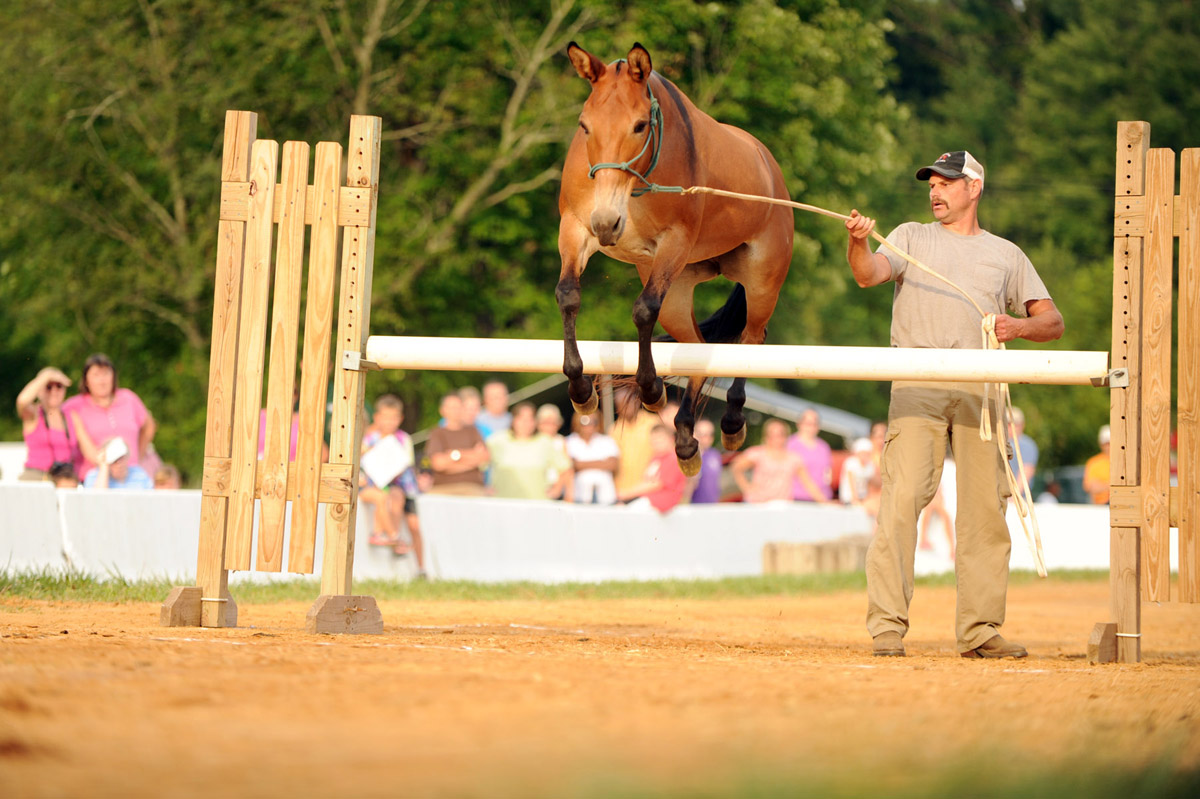 ph-ho-countyfair-day4-10.jpg