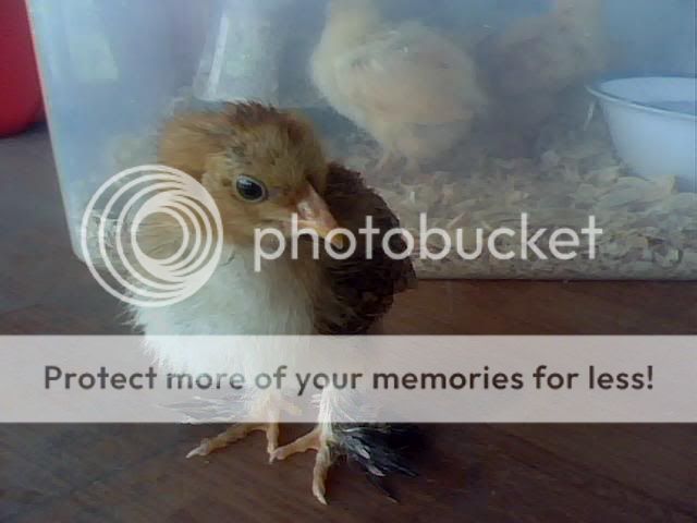 may132010-1.jpg