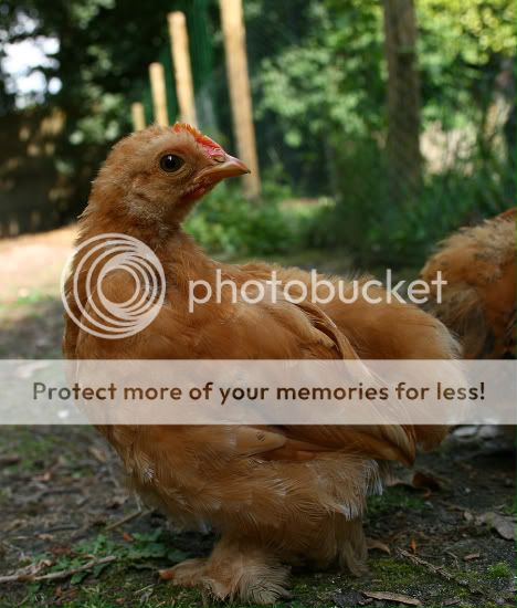 IMG_7626-border.jpg