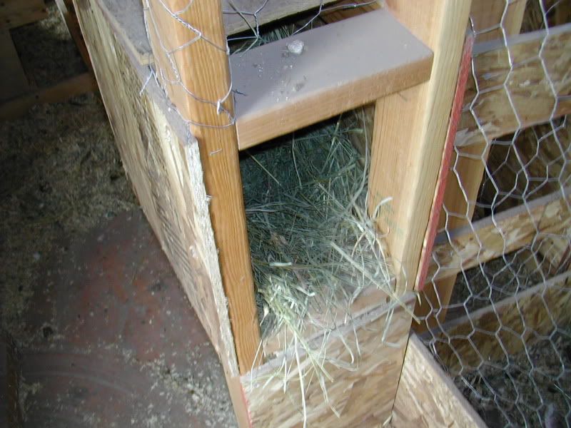 Pen1NestBox.jpg